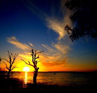 Lake Cowal - VIC Tourism