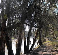 Mia Forest Drives Narrandera - VIC Tourism