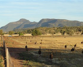 Tooraweenah NSW VIC Tourism
