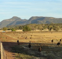 Emu Logic - VIC Tourism