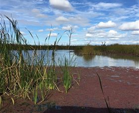 Gwydir Wetlands - VIC Tourism 0