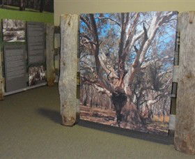Barmah Forest Heritage And Education Centre - VIC Tourism 2