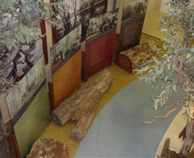 Barmah Forest Heritage And Education Centre - VIC Tourism 4