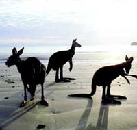 Hibiscus Coast - VIC Tourism
