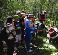 Warrumbungle National Park Discovery Program - VIC Tourism