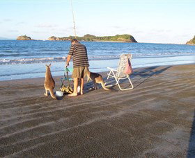 Illawong Beach QLD VIC Tourism