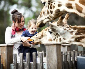 Taronga Western Plains Zoo, Dubbo - VIC Tourism 0