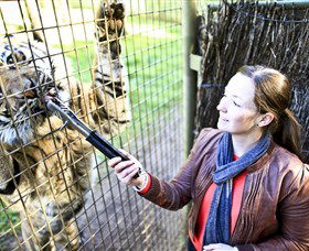 Taronga Western Plains Zoo, Dubbo - VIC Tourism 3