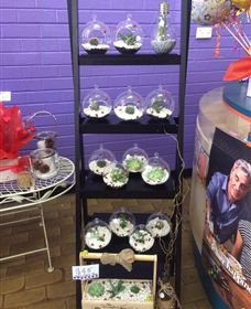 Cobram Florist - VIC Tourism 3