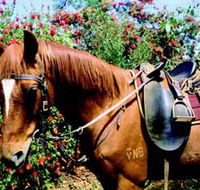 Western Plains Riding Centre - VIC Tourism