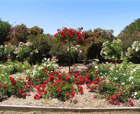 Barooga Botanical Gardens - VIC Tourism 2