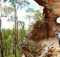 Pilliga National Park - VIC Tourism