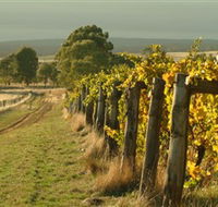 Captains Creek Organic Wines - VIC Tourism