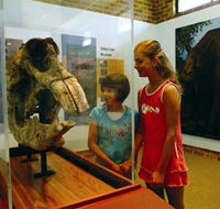 Australian Museum Diprotodon Exhibition - VIC Tourism