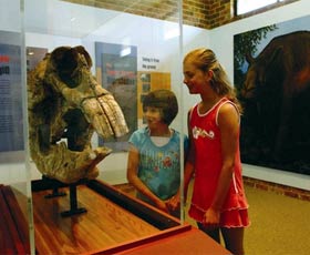 Australian Museum Diprotodon Exhibition - VIC Tourism 0