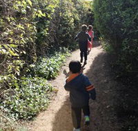 The Tangled Maze  Mistydowns Nursery - VIC Tourism