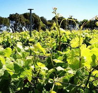 Basalt Wines - VIC Tourism