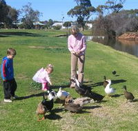 Roy Little Park Merredin - VIC Tourism