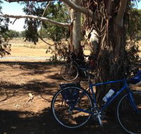 Murchison Rail Trail - VIC Tourism