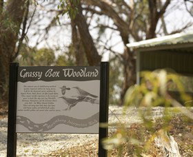 Coolamon NSW VIC Tourism