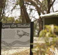 Kindra Forest - VIC Tourism