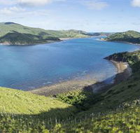 The Cremer Shipwreck Dive Site - Keswick Island - VIC Tourism