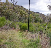 Lynchs loop trail - VIC Tourism