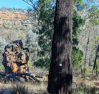 Eualdrie walking track - VIC Tourism