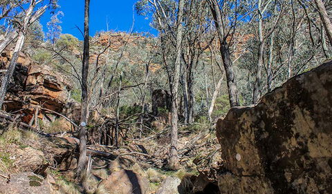 Eualdrie Walking Track - VIC Tourism 3