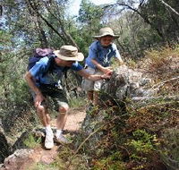 Mount Arthur Reserve - VIC Tourism