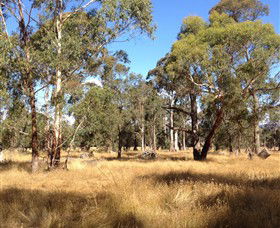Paramoor Winery - VIC Tourism 4
