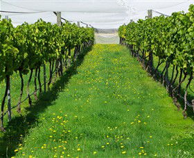 Paramoor Winery - VIC Tourism 6