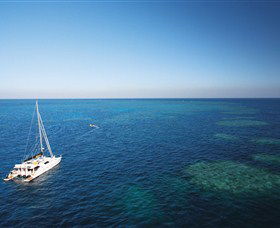 Bait Reef And Garys Lagoon Dive Site - VIC Tourism 0