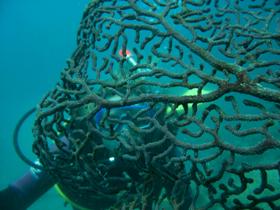 Fairey Reef - VIC Tourism 3