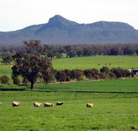 The Rock Nature Reserve - VIC Tourism