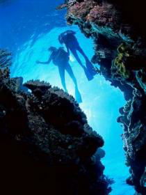Caves And Canyons Dive Site - VIC Tourism 0