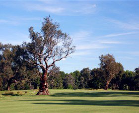 Corowa Golf Club - VIC Tourism 5