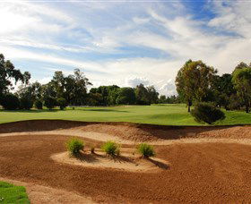 Corowa Golf Club - VIC Tourism 6