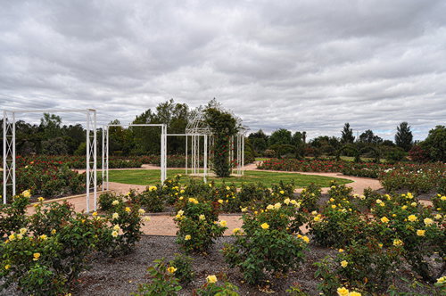 Buronga NSW VIC Tourism