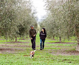 Wollundry Grove Olives - VIC Tourism 3