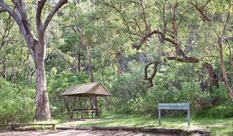 Green Camp - VIC Tourism 1