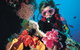 Great Barrier Reef - Whitsundays - thumb 1