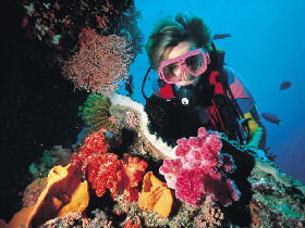 Great Barrier Reef - Whitsundays - VIC Tourism 1