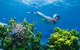 Great Barrier Reef - Whitsundays - thumb 3
