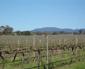 Monument Vineyard - VIC Tourism 1