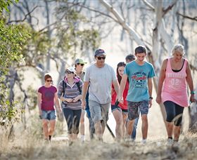 Winton Wetlands Reserve - VIC Tourism 0
