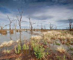 Winton Wetlands Reserve - VIC Tourism 4