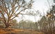 Winton Wetlands Reserve - thumb 2