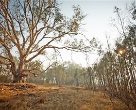 Winton Wetlands Reserve - VIC Tourism 2
