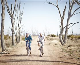 Winton Wetlands Reserve - VIC Tourism 6